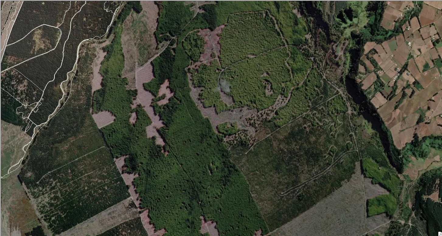 Imagen satelital con coberturas de suelo del territorio