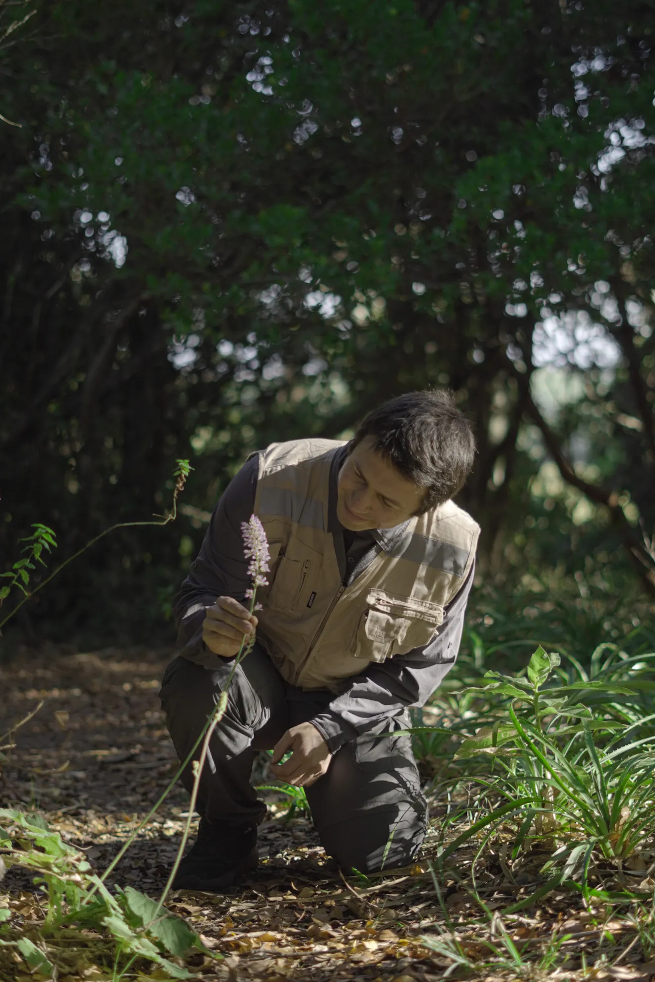 Profesional observando una orquídea nativa en el bosque